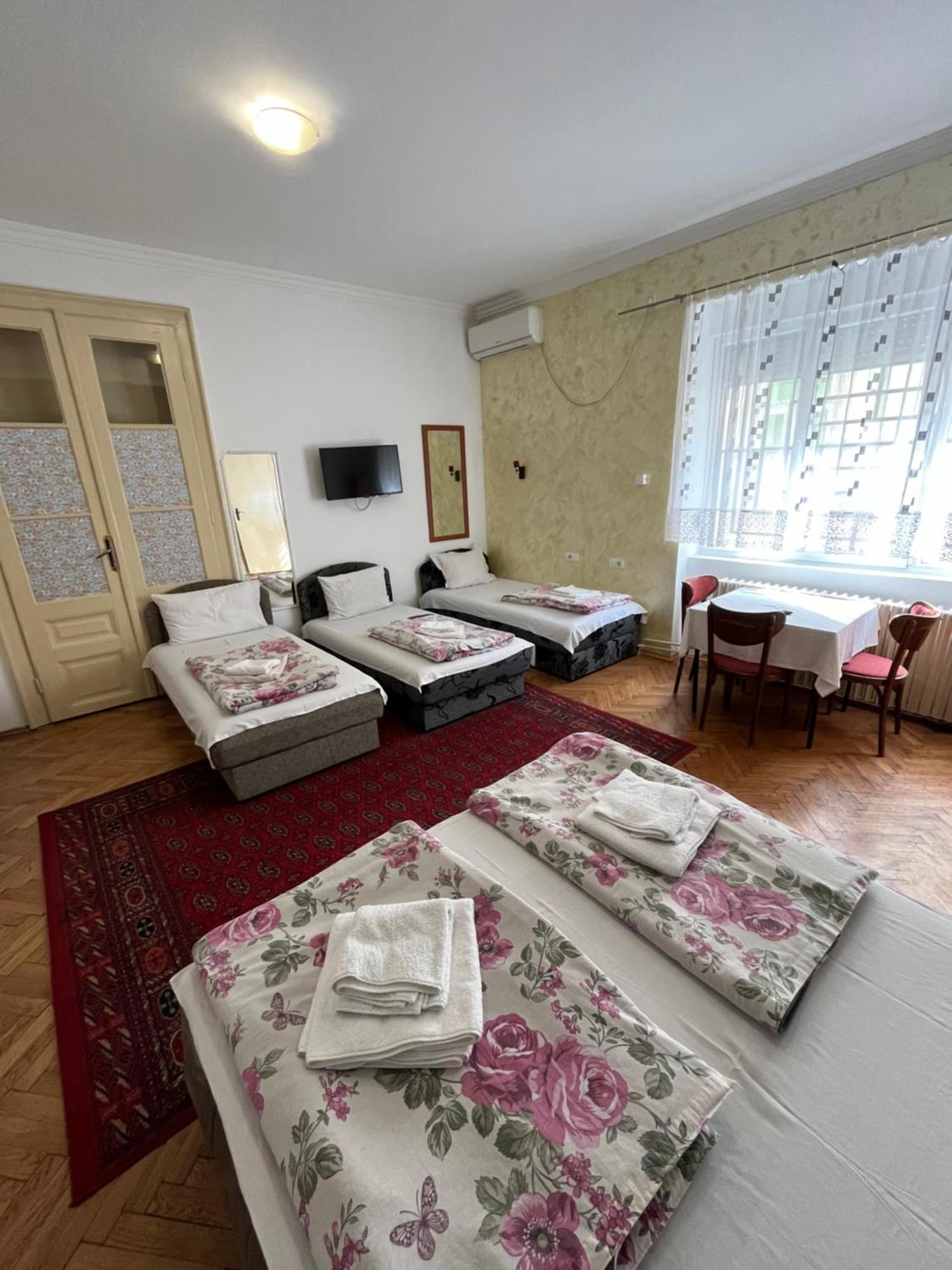 Sobe Sa Sopstvenim Kupatilom Private Rooms Bathroom In Center Novi Sad Exterior foto